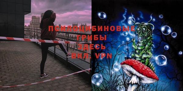 а пвп мука Инсар