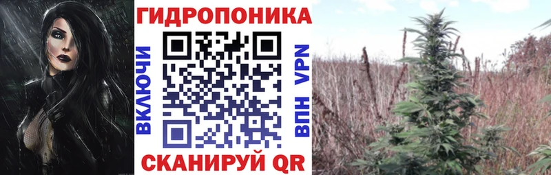 Купить где  Вельск  Конопля индика 